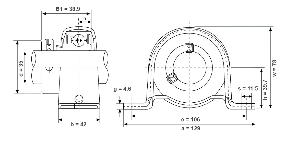 SAPP 207