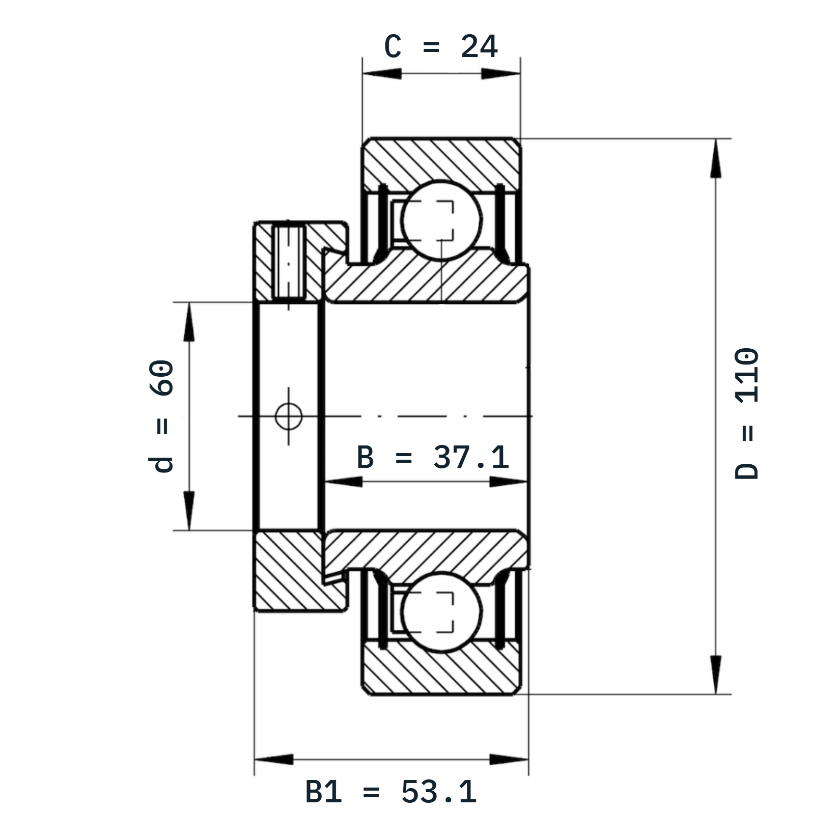 RAE60-XL-NPP